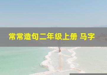 常常造句二年级上册 马字